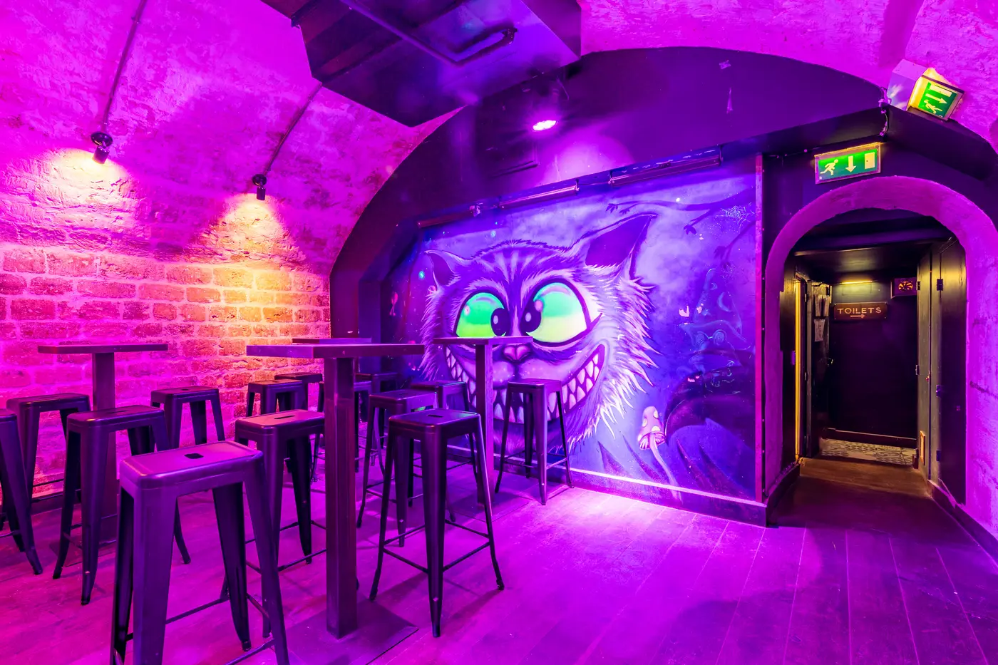 The Frog & Underground, photo 2